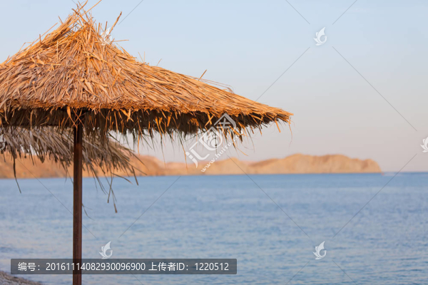 沙灘傘放大圖