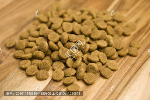 狗食