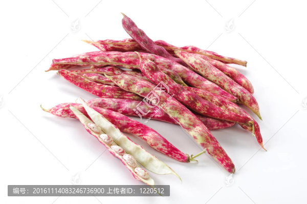 fagioli,borlotti在baccello