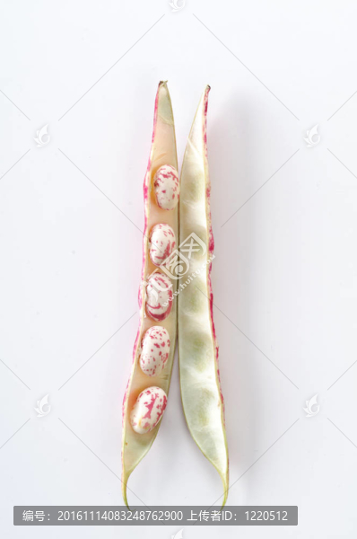 在baccello,fagioli