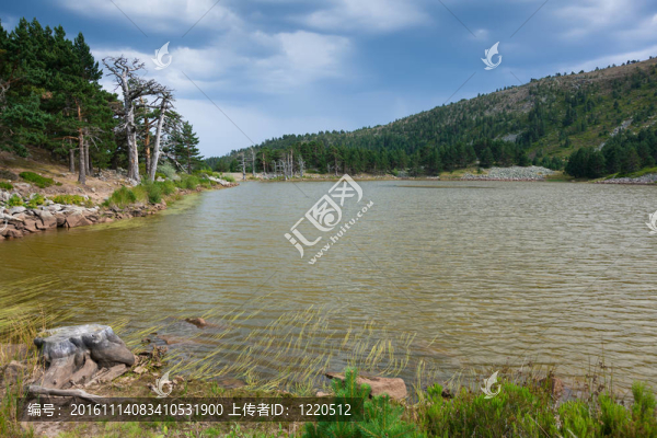 的鴨子湖；內(nèi)拉湖泊；Burgos；卡斯蒂利亞-列昂；西班牙