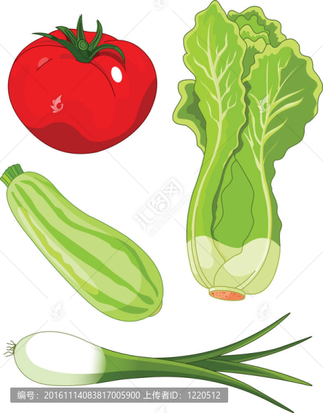 套vegetables5