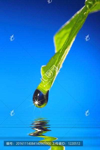 葉降