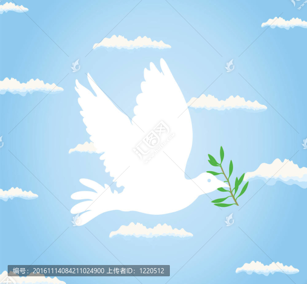 pigeon2