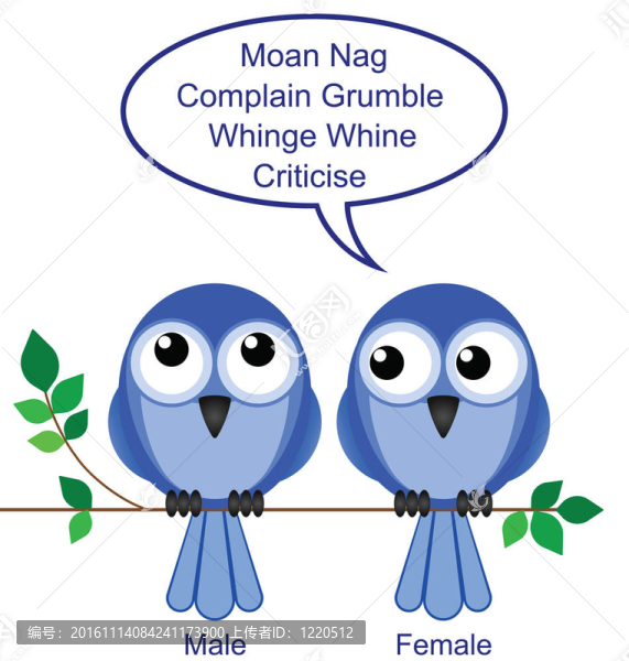 性別的鳥(niǎo)