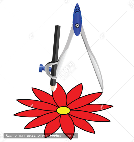 帶指南針的花