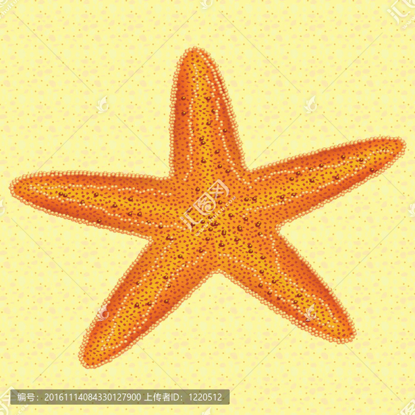 海星