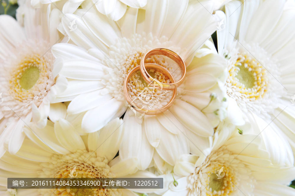 白色非洲菊和結(jié)婚戒指