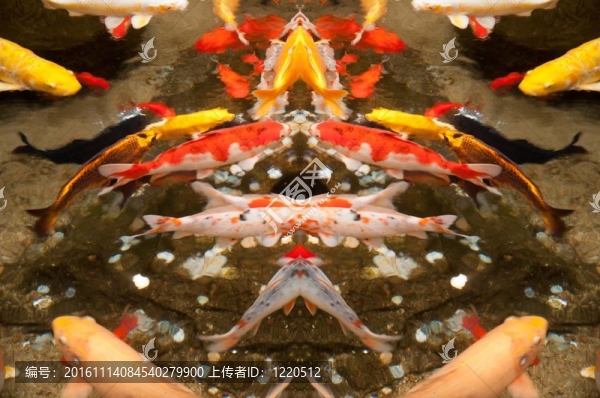 魚2