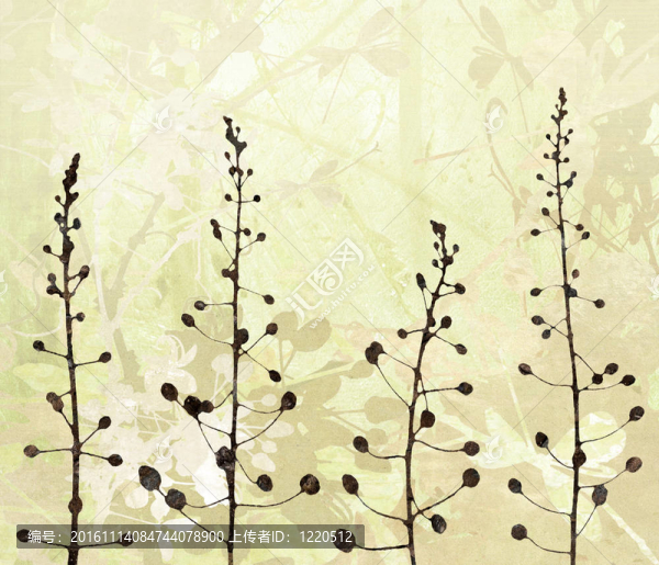 紙背景下的花緣藝術(shù)