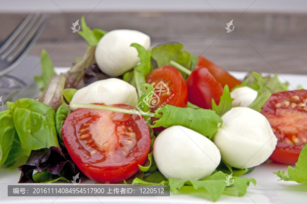 insalata卡
