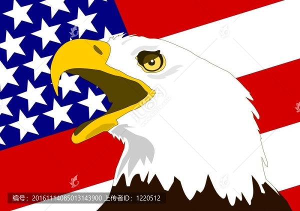 美國鷹