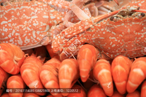 煮熟的螃蟹和蝦；泰國(guó)。
