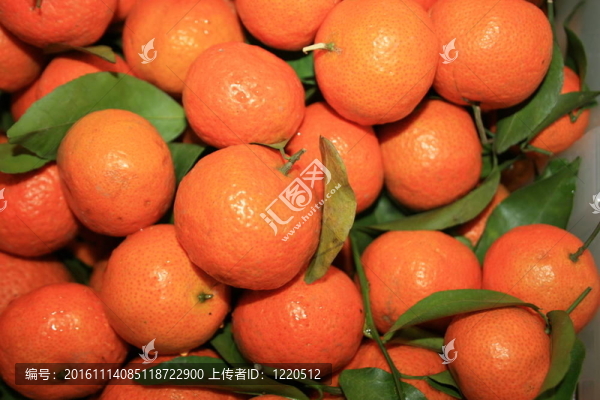 出售的橘子；泰國(guó)。