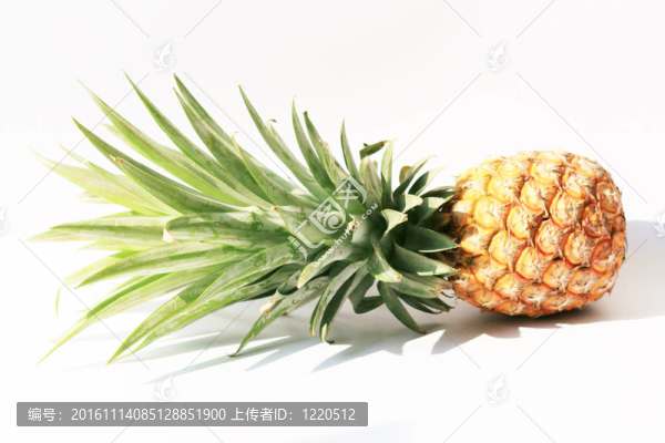 White上的一個(gè)新鮮菠蘿