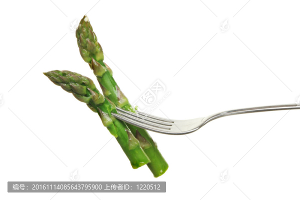 叉上的蘆筍