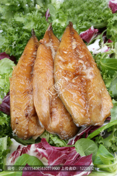 煙熏鯖魚魚片新鮮的生菜