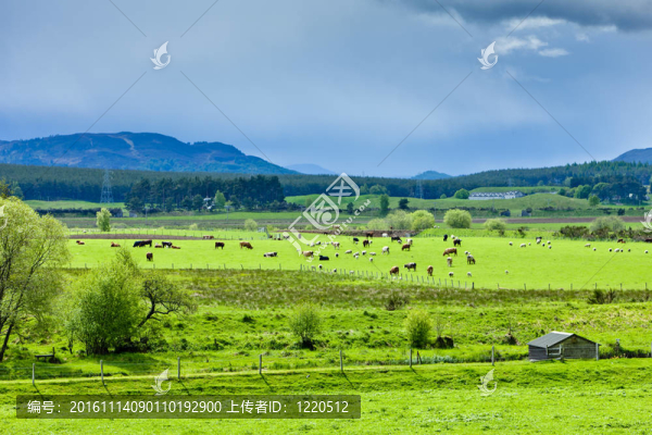 對蘇格蘭河谷景觀；Highlands；蘇格蘭