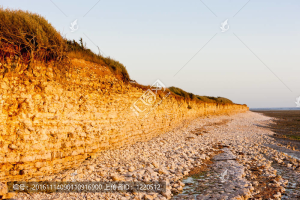 奧里朗島海岸；Poitou,Charentes；法國(guó)