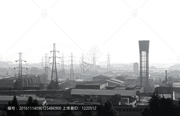 米拉費歐麗
