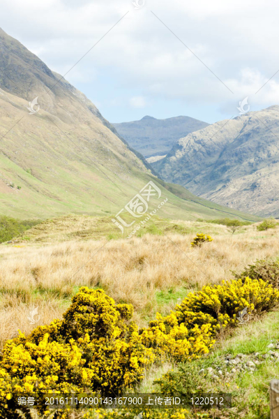 Glenshiel；Highlands；蘇格蘭