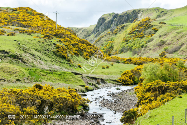 在阿馬灣景觀；Highlands；蘇格蘭