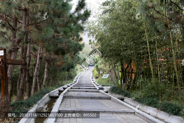 山間小路