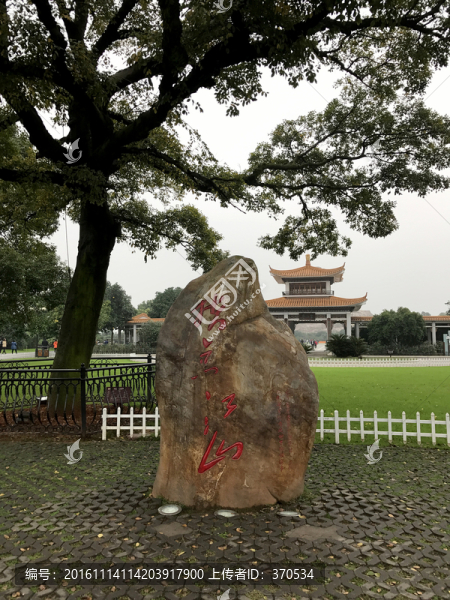 橘子洲