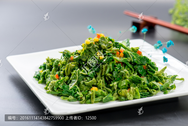 涼拌桑葉
