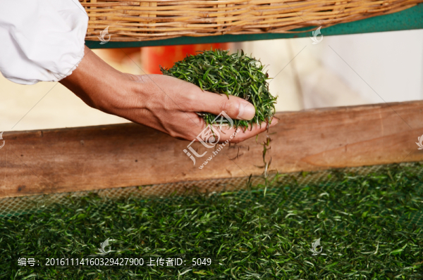 紅茶制作工藝之篩選
