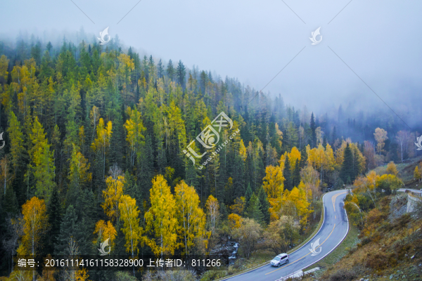 樺林公路
