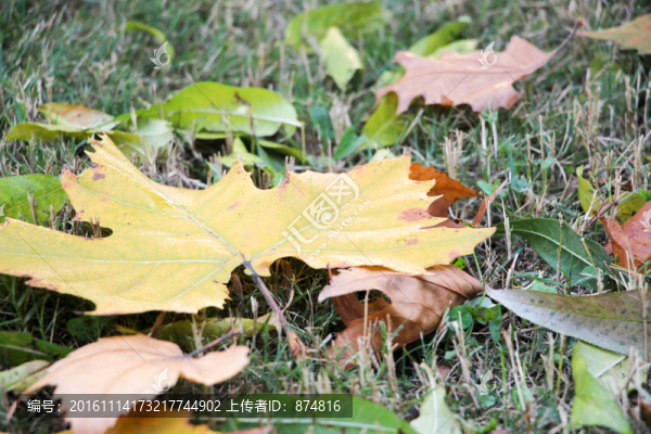 嵩山,（3）