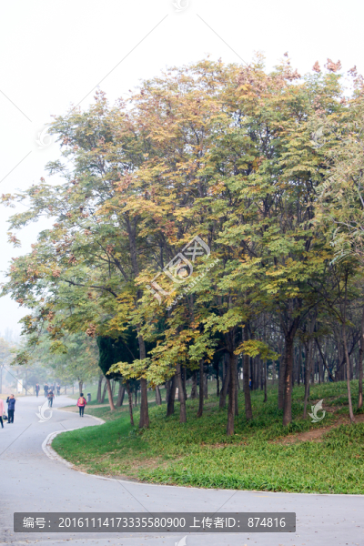 嵩山,（33）