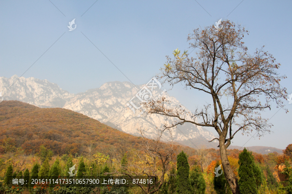 嵩山,（64）