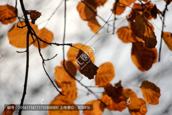 嵩山,（126）