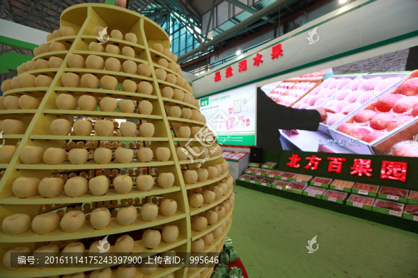 水果造型