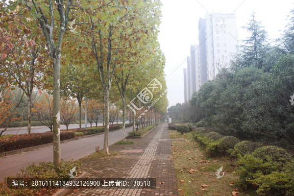 午后陽(yáng)光下公園景色