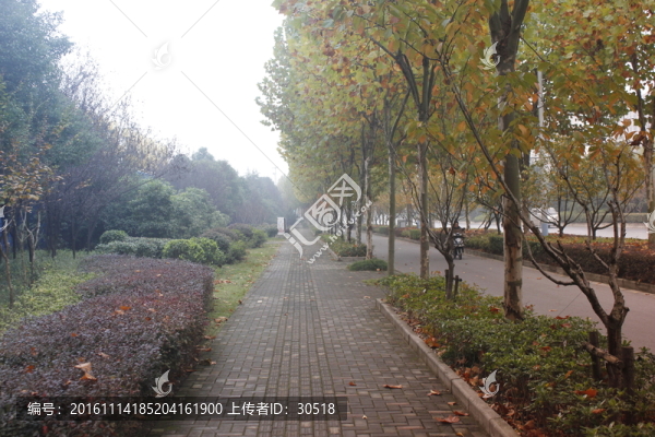 午后陽光下公園景色