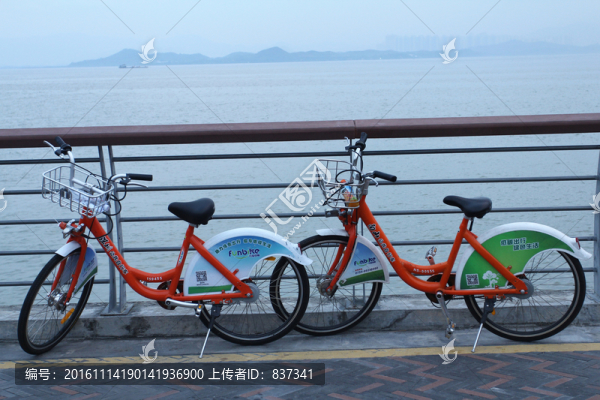 單車(chē)