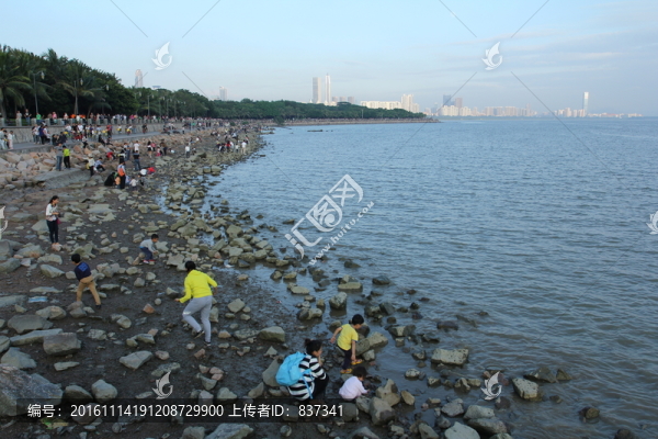 海邊游戲