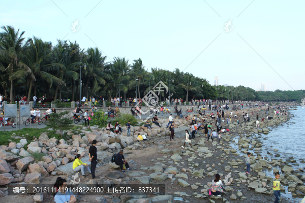 海岸