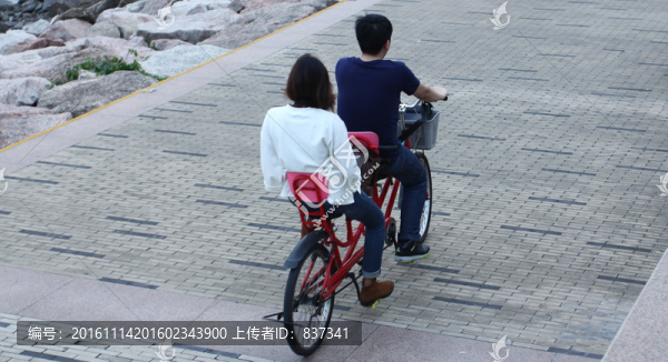 兩人自行車(chē)