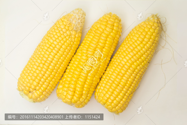 玉米