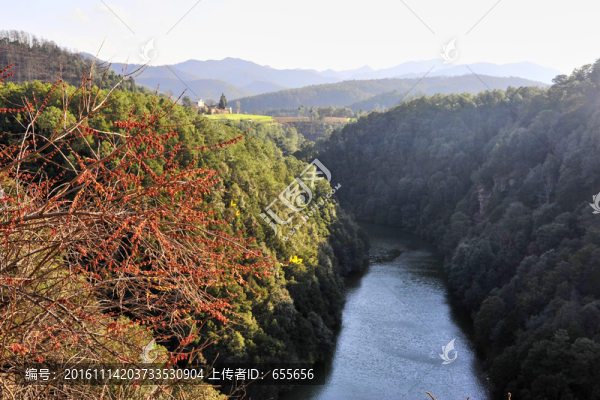 峽谷度假村