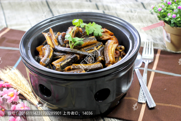 黃鱔腩肉煲