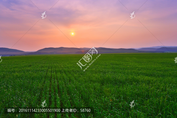 麥田暮色風(fēng)景