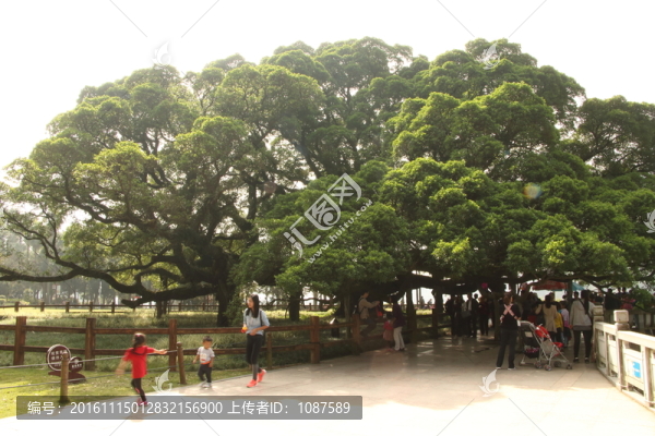 森林公園