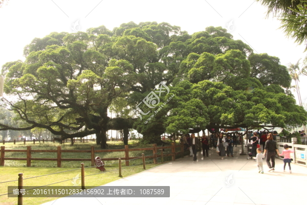 森林公園