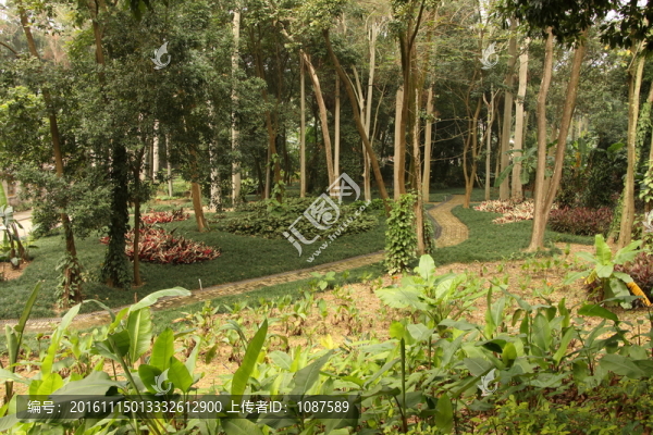 森林公園