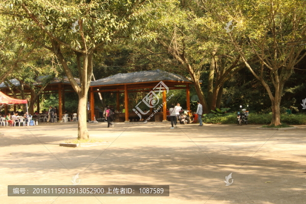 森林公園